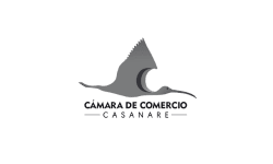Cámara de Comercio de Casanare - Lead And Brand